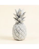 Teddy Resin Sea Shell Pineapple (synthetic illustration; no displayed measurements)