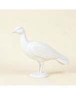 Seaver Peacock (synthetic illustration; no displayed measurements)