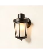 Chestertown 1-Light Outdoor Barn Light (synthetic illustration; no displayed measurements)