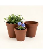 Trym 3 - Piece Water Hyacinth , Steel , And Plastic Pot Planter Set (synthetic illustration; no displayed measurements)