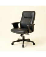 Pappalardo Executive Chair (synthetic illustration; no displayed measurements)