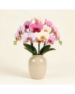 Orchid Floral Arrangement In Vase (synthetic illustration; no displayed measurements)