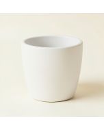 Timmer Resin Pot Planter (synthetic illustration; no displayed measurements)