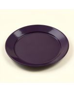 7 '' Melamine Appetizer Plate (synthetic illustration; no displayed measurements)