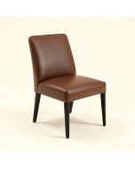 Naida Metal Side Chair (synthetic illustration; no displayed measurements)