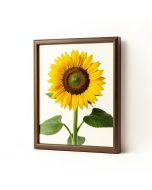 Sunflower In Bronze Ii By 0 Welby - Print (synthetic illustration; no displayed measurements)