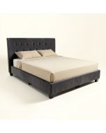 Burrus Upholstered Low Profile Standard Bed (synthetic illustration; no displayed measurements)