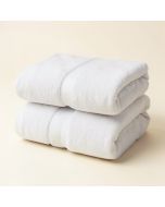 Braswell Zero Twist 2 Piece 100 % Cotton Bath Sheet Towel Set (synthetic illustration; no displayed measurements)