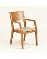 Cantero Wood Solid Wood Dining Chair (synthetic illustration; no displayed measurements)