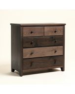 Parry 5 Drawer Dresser (synthetic illustration; no displayed measurements)