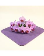 Orchids 3 Colors Blooming Flourishing Environment Theme Cream Violet Dried Rose Kitchen Mat (synthetic illustration; no displayed measurements)
