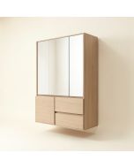 17 '' Wall-Mounted Single Bathroom Vanity (synthetic illustration; no displayed measurements)