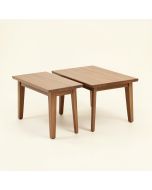 Arcturus 2 Piece Coffee Table Set (synthetic illustration; no displayed measurements)
