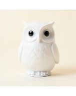 Owl Bluetooth Speaker Night Light (synthetic illustration; no displayed measurements)