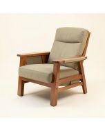 Palantoni 37.7 '' Wide Power Lift Assist Standard Recliner (synthetic illustration; no displayed measurements)