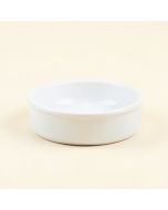 Automatic Water Dish (synthetic illustration; no displayed measurements)