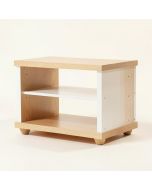 Mid-Century Toy Storage Bench (synthetic illustration; no displayed measurements)
