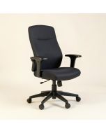 Friant Ergonomic Task Chair (synthetic illustration; no displayed measurements)