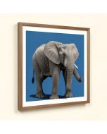 Elephant By Rocío Díaz Couretot Framed Graphic Art (synthetic illustration; no displayed measurements)