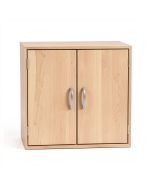 Cataleya 2 Door Storage Cabinet (synthetic illustration; no displayed measurements)
