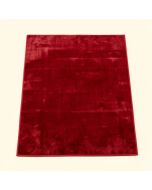 Donnal Ombre Red Area Rug (synthetic illustration; no displayed measurements)